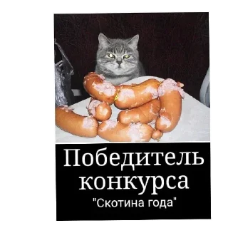 Telegram sticker 🐱 Огонёк by @DuoSticker_bot