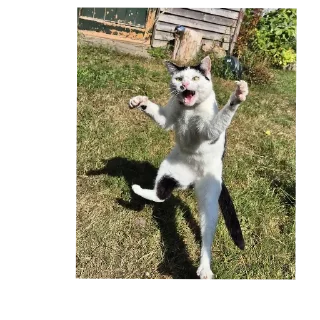 Telegram sticker 👏 Огонёк by @DuoSticker_bot