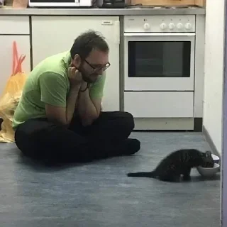 Telegram sticker 😍 Больше стикеров тут: @stikery_emodzi_memy