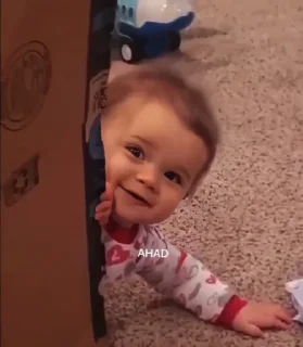 Video sticker 🥺 Ahad