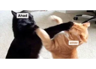 Telegram sticker 🤬 Ahad