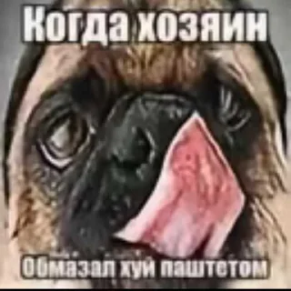 Telegram sticker 😎 Савам>рмп ➡️ @Ctikerubot