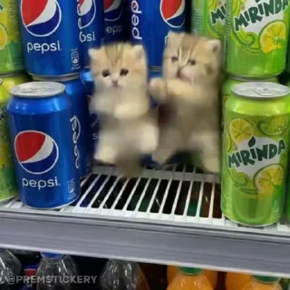 Video sticker 💃 Больше стиков тут: @stikery4