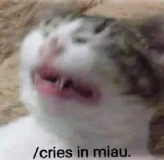 Telegram sticker 🤔 Kya Steal Pack