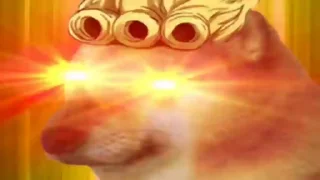 Video sticker 😡 Dogesh @Trystickers