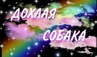 Телеграм стикер 🐶 ✨💕⚗фантастические твари⚗💕✨