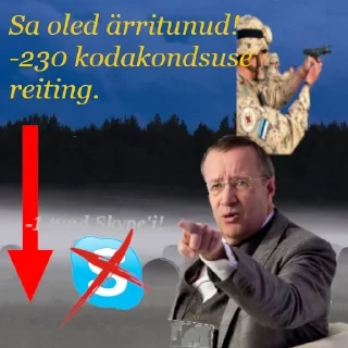 Video sticker ↘️ Eestimaa