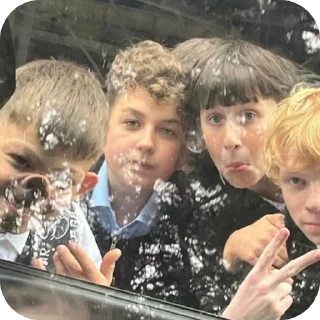 Video sticker 🐽 #перцевшалун @TgEmodziBot