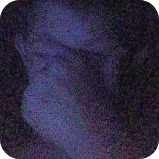 Telegram sticker 💩 #перцевшалун @TgEmodziBot