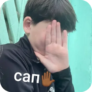 Telegram sticker 👋 #перцевшалун @TgEmodziBot