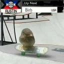 Video sticker 🤙 Random bird stuff
