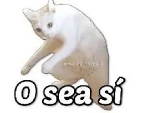 Telegram sticker 🐈 Paqueton :: @fStikBot