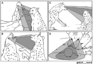 Video sticker 😂 @LuciSheppy Vol.7