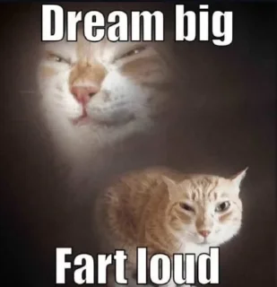 Telegram sticker 💨 @LuciSheppy Vol.7