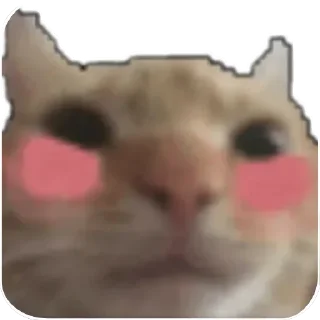 Sticker 😳 @LuciSheppy Vol.7