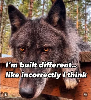 Telegram sticker 😐 @LuciSheppy Vol.7