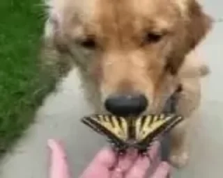 Video sticker 🌟 7tv 2nd - @emnxxxChannel