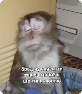 Video sticker 🥺 Стикеры тут: @stikeryv