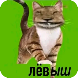 Video sticker 👍 Это моя машина —> @bookkkq