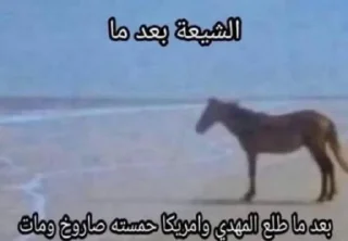 Telegram sticker 🏴 هيمو الاعظم ينيج الشيعة