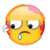 Sticker 😱 curva @emojique