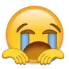 Video sticker 😿 curva @emojique