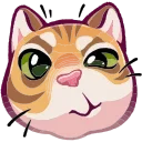 Video sticker 🤩 Рыжий @TgEmojis