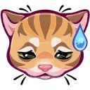 Video sticker 🤩 Рыжий @TgEmojis