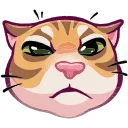 Video sticker 🤩 Рыжий @TgEmojis