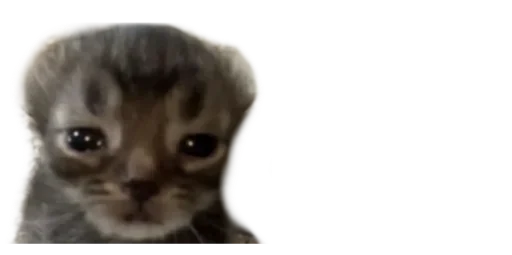 Telegram sticker ☹ @GG_R7  :: بزازين منغولية