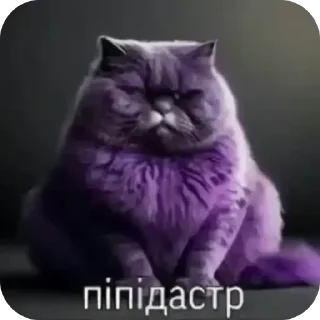 Video sticker 😎 Больше стиков тут: @stikery4