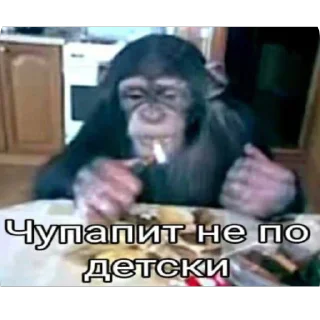 Telegram sticker 🫥 илюша и его матанды