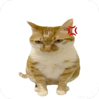 Telegram sticker 😡 Caleb_boi :: @fStikBot