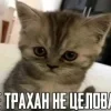 Video sticker 🥺 @adelyanyash :: @f...