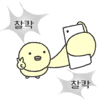 Video sticker ⭐ 이런 병아리 어떤데 @moe_sticker_bot