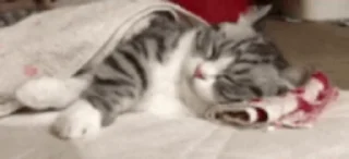 Телеграм стикер 😴 Альтернативный мьюзик :: @fStikBot