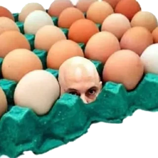 Telegram sticker 👩‍🦲 ElonxAlexandre