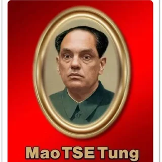 Video sticker 🇨🇳 ElonxAlexandre