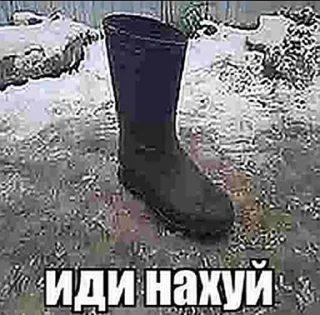 Video sticker 😄 дагестанский праздник @dag_praz