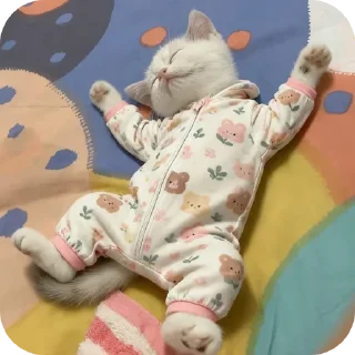 Telegram sticker 🐱 Meus michis❤️😻