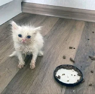 Telegram sticker 🥲 Больше стиков тут: @stikery4