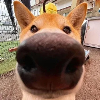 Telegram sticker 👁️ Больше стиков тут: @stikery4