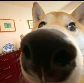 Sticker 👁️ Больше стиков тут: @stikery4