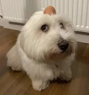 Telegram sticker 👁️ Больше стиков тут: @stikery4