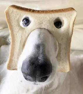 Telegram sticker 🍞 Больше стиков тут: @stikery4