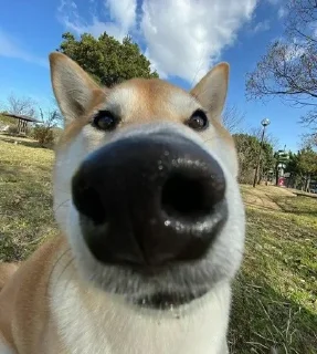 Video sticker 👁️ Больше стиков тут: @stikery4