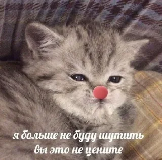 Telegram sticker 🤡 Больше стиков тут: @stikery4