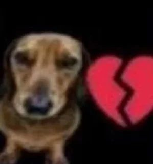 Telegram sticker 🌟 факин мазафакин :: @fStikBot