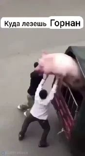 Video sticker 🌟 Короли хуйни☠ :: @fStikBot