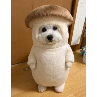 Telegram sticker 🥸 호밍빡이 최고임2